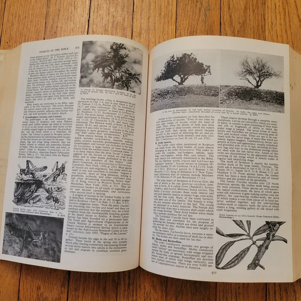 N/A zondervan pictorial